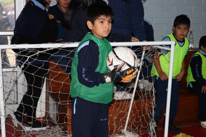 Día de la Actividad Física